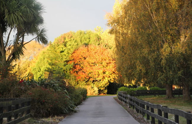 Silverstream Alpaca Farmstay and Tour - Foto 55