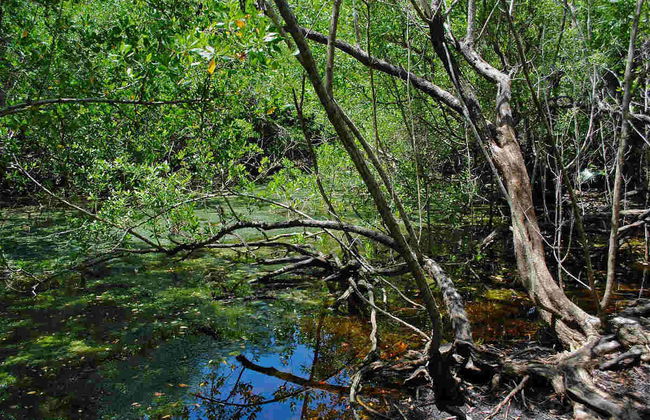 Tres Palos Lagoon Day Trip - Photo 2
