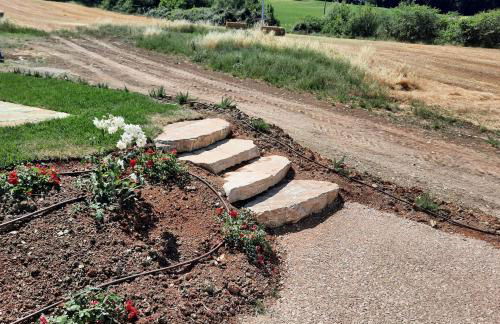 Agriturismo Pane e Olio - Photo 53