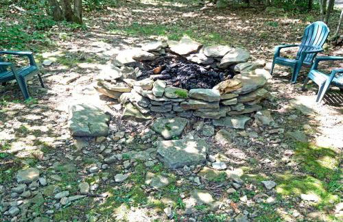 Mountain Maryland! Bear in the Woods - Foto 19