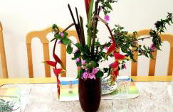 Local privilegiado em Aguas ! - Foto 20