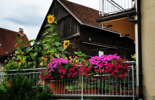 FeWo Ulbrich Langenstadt - Foto 21