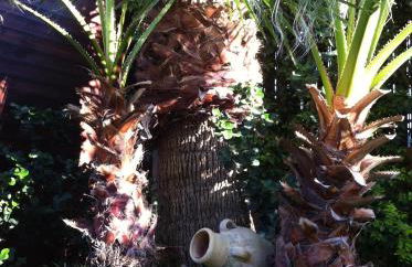 Villa Rosa - Foto 24