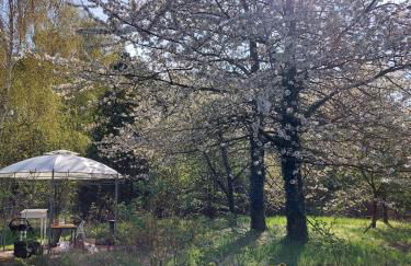 Der Konikhof, Natur, Ruhe, R-Auszeit - Photo 25