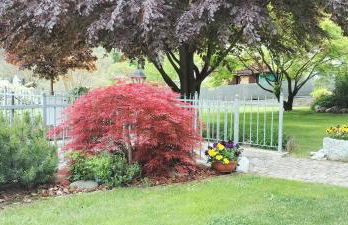 Casa Vacanze - Green Garden - Foto 7