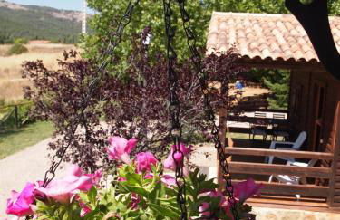 Fuente Del Arca - Foto 24