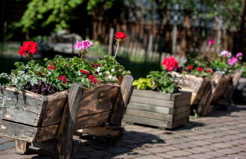 Agroturystyka na Jurze Apartamenty z widokiem na Zamek Jacuzzi Sauna Beczka - Foto 57