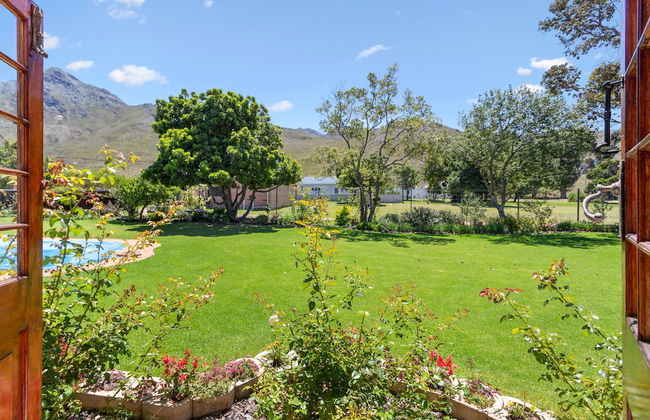 Panaderos - Photo 40