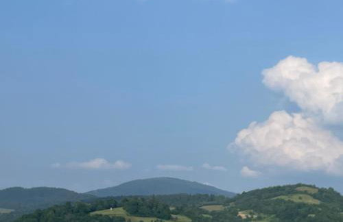 Lawendowy apartament - Photo 9