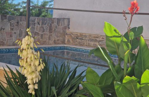 Holiday house with a swimming pool - Villa Melavita - Foto 23