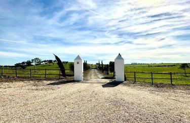 Herdade da Boavista - Foto 63