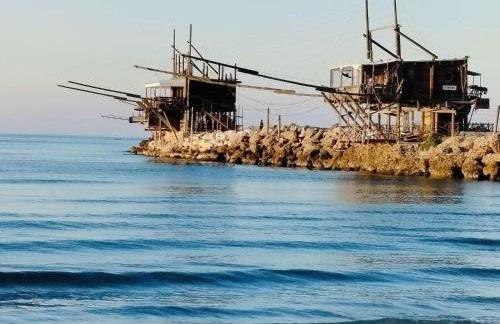 Perla marina - Foto 33