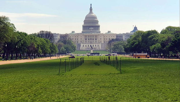 Capitole des États-Unis