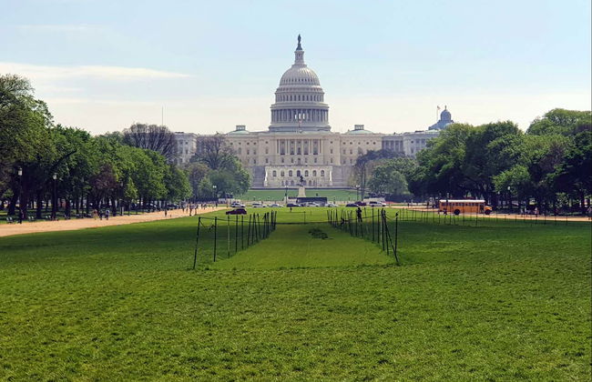 Washington DC Free Tour - Foto 5