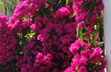 Oropos Relax View - Foto 50