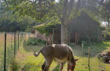 Bienvenue à la ferme - Foto 16