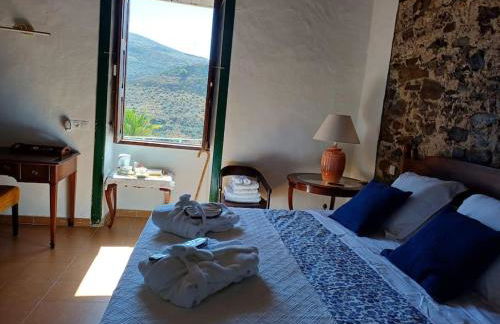 DRAGO 100, quiet and friendly - Foto 29