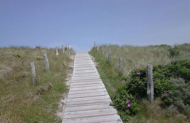 Lagoon on the Wadden See on Wangerooge - Foto 11