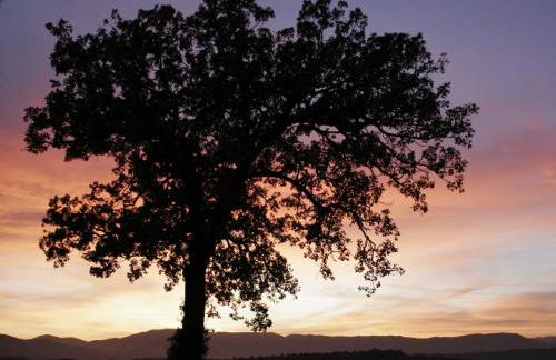 Il Nido di Gabbiano - Foto 28
