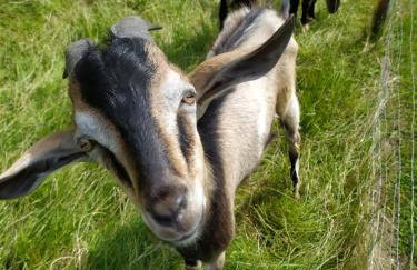 Apartament Widok - Foto 24