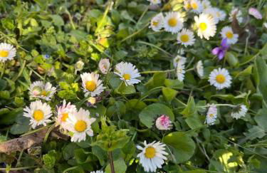 Casa Lastri - Foto 13