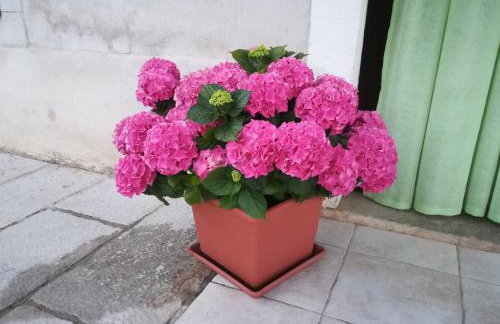 Apartment Belici - Foto 37