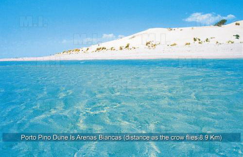 Il Fenicottero - Foto 13