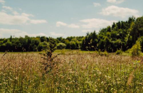 Nowoczesne Domki na Łące & Domki na Drzewie - Kołobrzeg - Sauna & Balia - PolanaGlamp - Photo 61