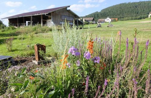 SchwarzWild - Ferienwohnung und Ferienzimmer - Foto 78