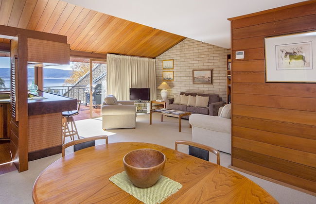 Grey Kangaroo- On Lake Jindabyne foreshore - Foto 8