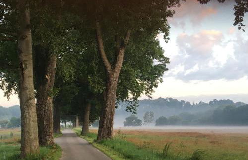 Vorwerk Biensdorf - Foto 19