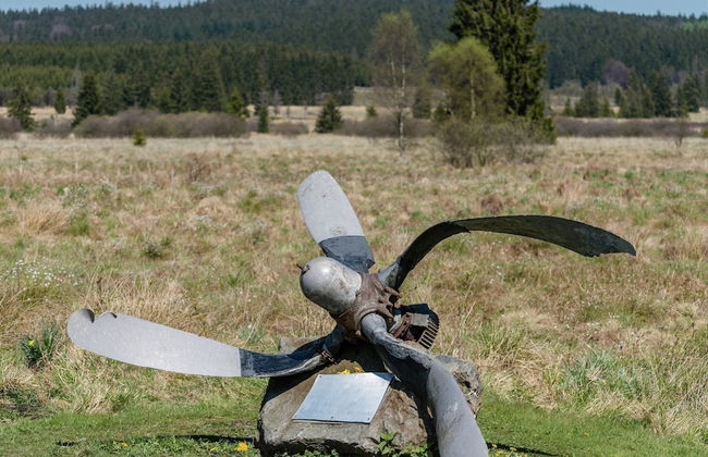 All-in Price for This Design and Comfy Home Located Near the Forest, Sauna Incl - Foto 69