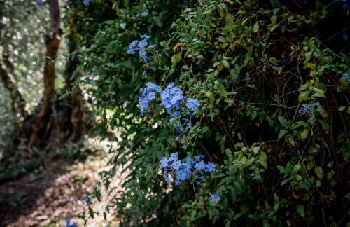 Nostro Rifugio - Foto 29