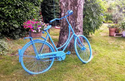 Mach mal Pause bei Geni & Bernd - Foto 37