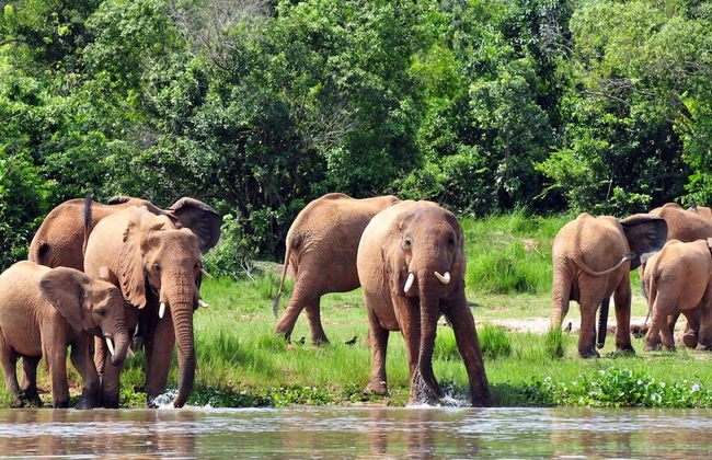Victoria Lake View Guest House & Safaris - Photo 33