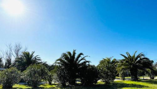 Regina Beach Holiday Apartments - Foto 3, Garden, Garden view