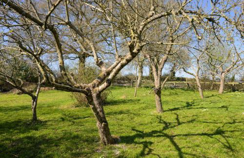 Beautiful cottage set in peaceful surroundings with stunning views - Foto 43