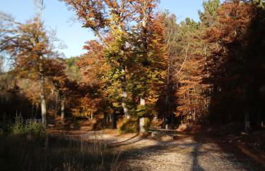 Les Gites du Mont Ventoux - Foto 76