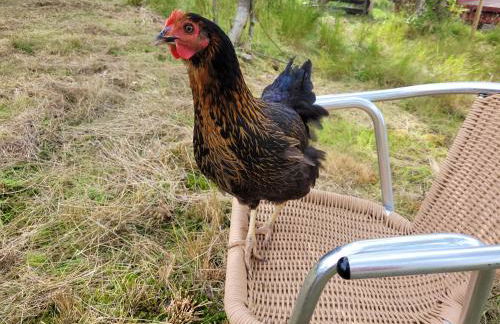 Sound of Durnamuck - Foto 122