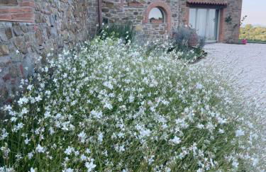 Luxury farmhouse "Villa Lidia Umbria - la dolce vita at its best! - Foto 14