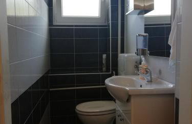 Apartments Krapinske Toplice Krtak Biba - Foto 35