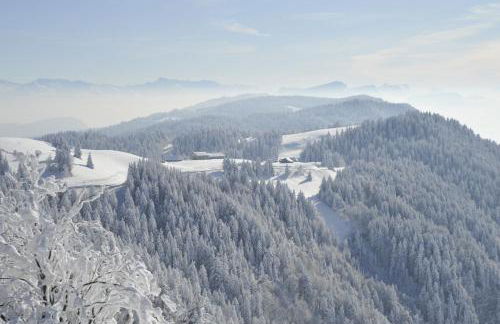 Grande maison familiale dans le massif des Bauges - Foto 37