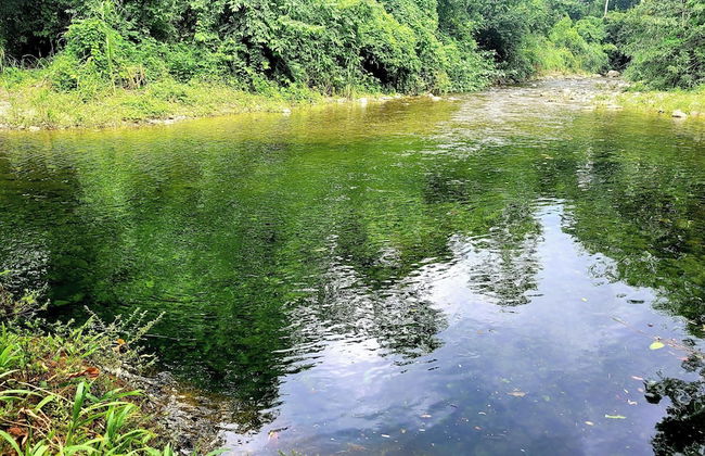 Corinto Pearl Eco Resort - Foto 23