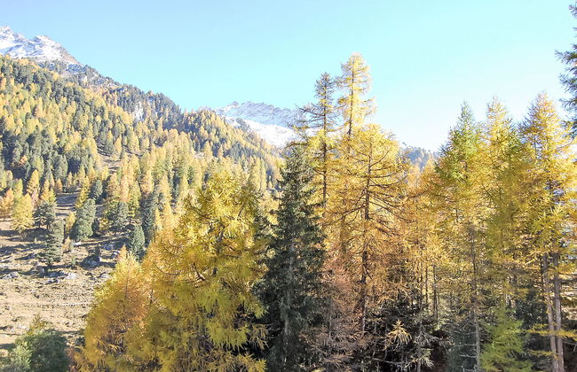 Mont Fort 16 - Foto 22