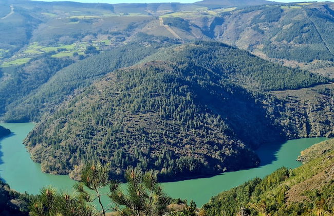 El Bosque de las Viñas - Foto 52