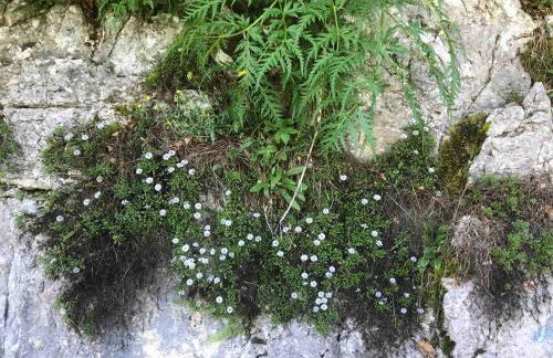 Casadelsale - Foto 15