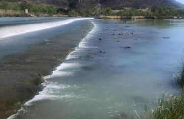 Racó de la Mar - Photo 33