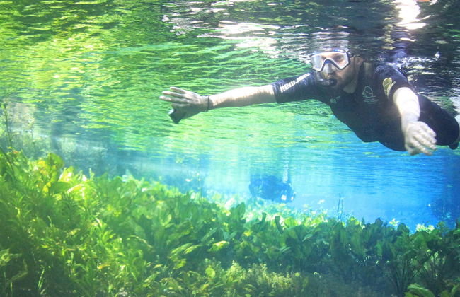 Snorkeling dans la rivière Baía Bonita - Foto 1