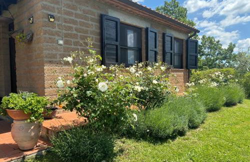 Monolocale La Mimosa - Foto 10