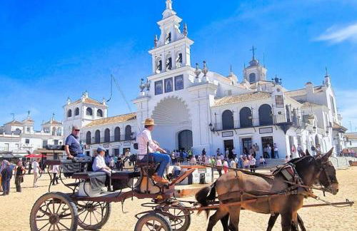 Alma de doñana - Foto 10